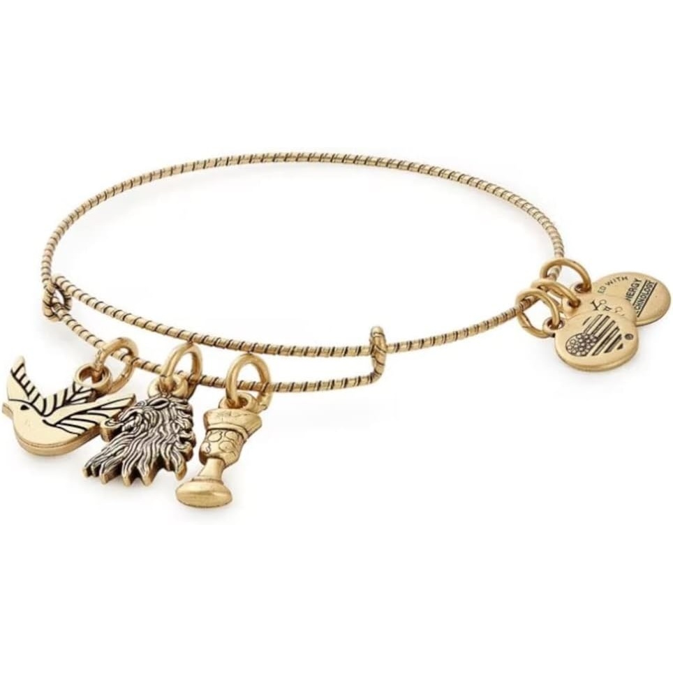 image:imageAlex and Ani Game of Thrones House Lannister Charm Bangle