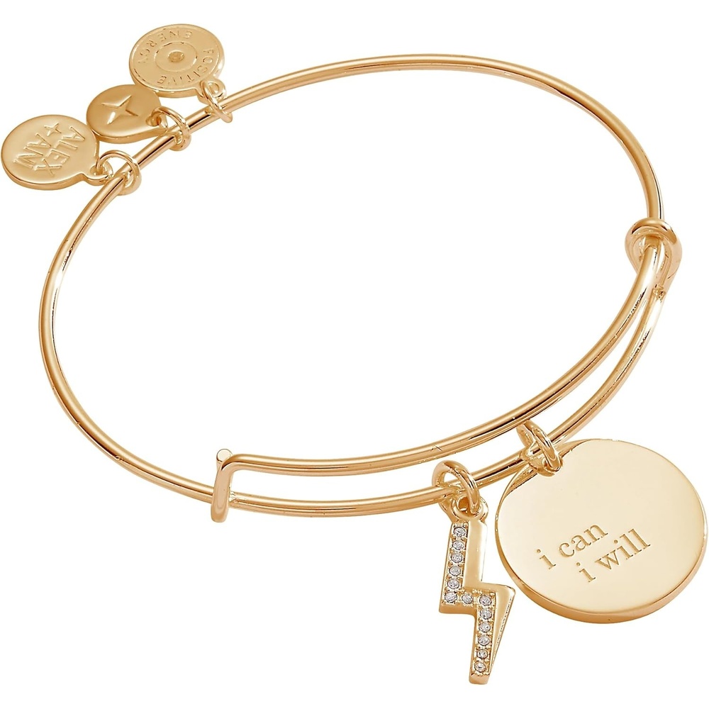 image:imageAlex and Ani I Can I Will Duo Charm BangleBangle