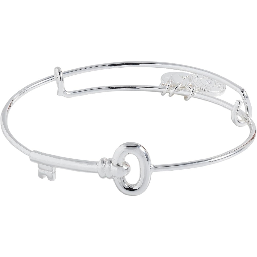 image:imageAlex and Ani Key Inline Banglesilver
