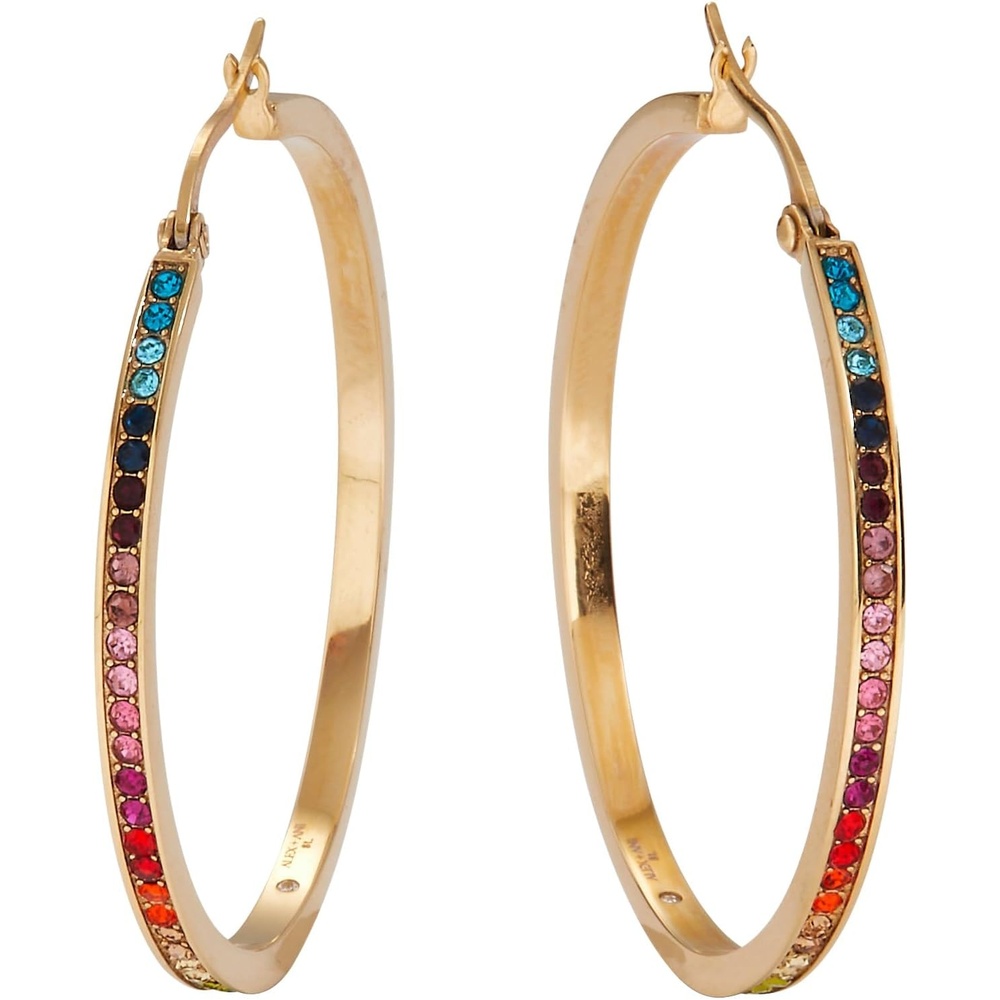 image:imageAlex and Ani Rainbow Ombre Pave JewelryRainbow Ombre Pave Hoop