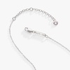 Alex and Ani Birthstone Precious Pendant Necklace(Silver)