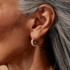 Alex and Ani Black Onyx Textured Earrings
