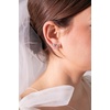 Alex and Ani Bow & Teardrop Jewelry(Earring Set)