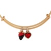 Alex and Ani Box of Chocolate Jewelry(Chocolate-Covered Strawberry Bangle)