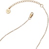 Alex and Ani Divine Guides Star of David Pendant Necklace(Shiny Gold)