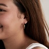 Alex and Ani Faceted Hoop Earrings