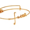 Alex and Ani Faith Necklace(Gold)