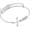Alex and Ani Faith Necklace(Silver)