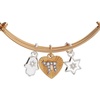 Alex and Ani Faith and Family Star of David Charm Bangle(Bangle)