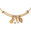 Alex and Ani Fall Harvest Jewelry(Charm Bangle)