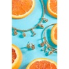 Alex and Ani Fall Harvest Jewelry(Charm Bangle)