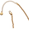Alex and Ani Fall Harvest Jewelry(Charm Necklace)