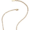 Alex and Ani Friend Hidden Message Acrostic Necklace(Grandma)