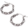 Alex and Ani Frozen Mariner Chain Hoop Earrings(Stainless Silver)