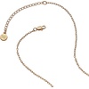 Alex and Ani Heart of Gold Pendant Necklace(Howdy)
