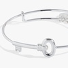 Alex and Ani Key Inline Bangle(silver)