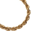 Alex and Ani Large Rope Chain(Stainless Gold)