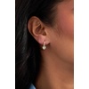 Alex and Ani Love and Luck Earring Sets(Mix & Match Charm Earring Set of 4 (Stainless Gold))