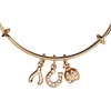 Alex and Ani Love and Luck Multi-Charm Bangle(Gold)