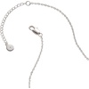 Alex and Ani Margarita Lime Stud Earring(Alex and Ani Feelin’ Salty Margarita Necklace)