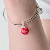 Alex and Ani School-Themed Charm Bracelet for Women – Ideal Gift for Teachers & Students(Silver)