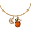 Alex and Ani Spritz O Clock Bangle(Alex and Ani Spritz O Clock Bangle)
