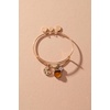 Alex and Ani Spritz O Clock Bangle(Alex and Ani Spritz O Clock Bangle)