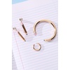 Alex and Ani Teacher’s Pet Earrings(Pencil Heart Drop Earring)