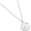Alex and Ani Virgo Zodiac Precious Necklace(Capricorn)