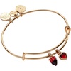 Alex and Ani Box of Chocolate Jewelry(Chocolate-Covered Strawberry Bangle)