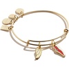 Alex and Ani Collaborations Expandable Bangle for Women, Team USA Duo Charms, Shiny Finish, 2 to 3.5 in(Shiny Gold Finish)
