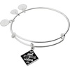 Alex and Ani Color Infusion Soul Sisters Bangle Bracelet(Shiny Silver)