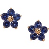 Alex and Ani Crystal Forget-Me-Not Flower Jewelry(Earrings)