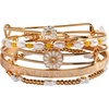 Alex and Ani Daisy Slider Jewelry(Alex and Ani Daisy Bangle set of 5)