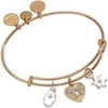 Alex and Ani Faith and Family Star of David Charm Bangle(Bangle)