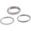 Stainless Silver