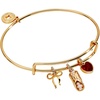Multi Charm Bangle (Shiny Gold)