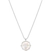 Alex and Ani Zodiac Charm Necklace(Alex and Ani Zodiac Necklace  Capricorn:Shiny Silver:Multi)