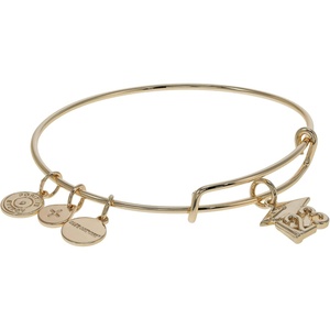 Alex and Ani 2023 Graduation Cap Charm Bangle Bracelet(Shiny Gold)