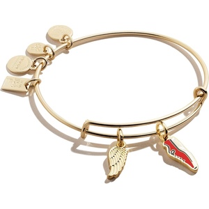 Alex and Ani Collaborations Expandable Bangle for Women, Team USA Duo Charms, Shiny Finish, 2 to 3.5 in(Shiny Gold Finish)