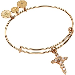 Alex and Ani Divine Guides Cross Pendant Necklace(Shiny Gold)