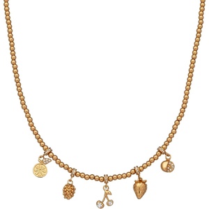 Alex and Ani Fall Harvest Jewelry(Charm Necklace)