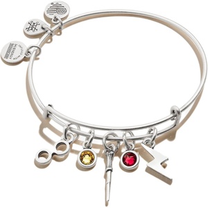 Alex and Ani Harry Potter™ Bracelets(Character Multi-Charm Bangle)