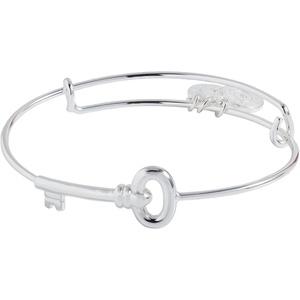 Alex and Ani Key Inline Bangle(silver)