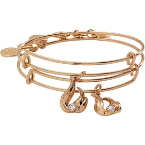Alex and Ani Little Dipper BFF Bangle Set of 2(Twin Flame BFF Bangle  Set of 2)