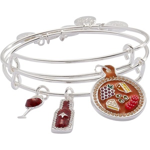 Alex and Ani Little Dipper BFF Bangle Set of 2(Wine and Cheese BFF Bangle  Set of 2)