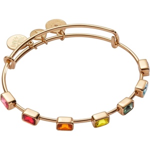 Alex and Ani Rainbow Ombre Pave Jewelry(Rainbow In-Line Stone Bangle)