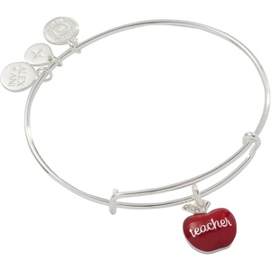 Alex and Ani School-Themed Charm Bracelet for Women – Ideal Gift for Teachers & Students(Silver)