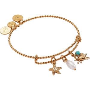 Alex and Ani Seaside Charm Bangle(Whimsical Seaside Charm Bangle)