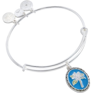 Alex and Ani Sending Love Charm Bangle